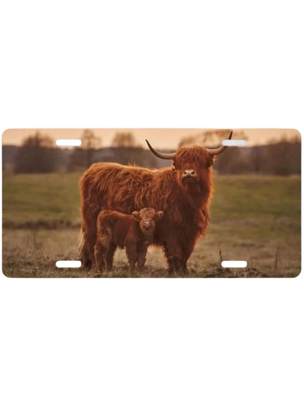 Highland Cow and Baby Car Tag Metal Vehicle License Plate